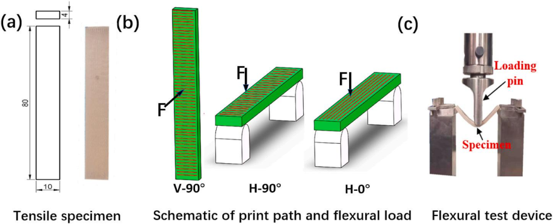 综述 | 打印路径和材料成分对3D打印聚醚醚酮/羟基磷灰石复合材料力学性能的影响
