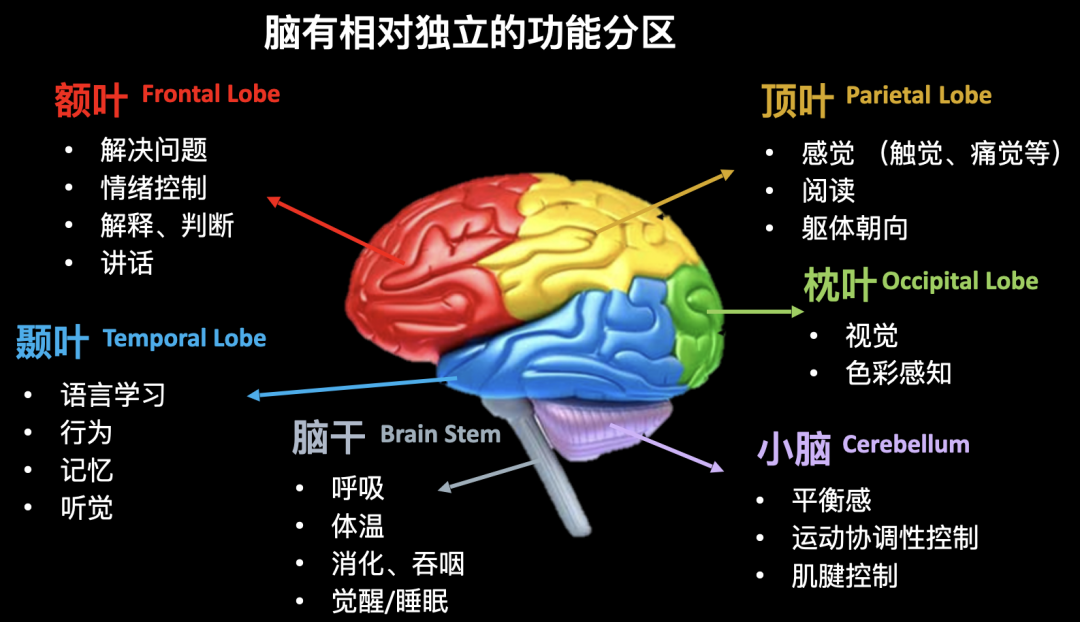 人机共生前传：这家中国公司让脑机接口走出科幻